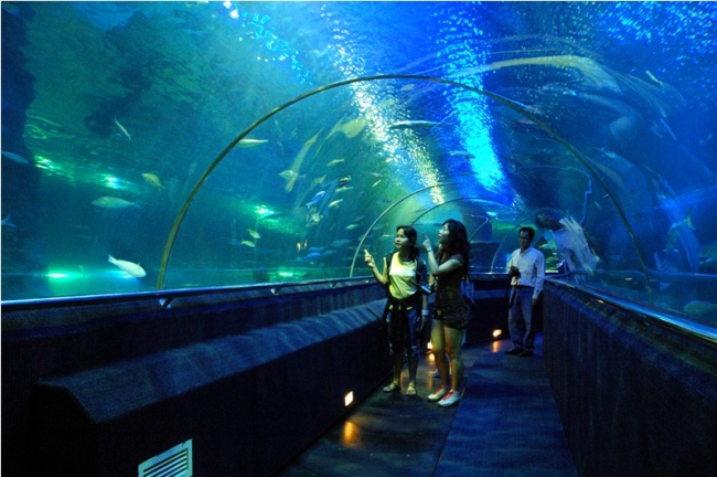 Vé máy bay Pleiku đi Hà Nội