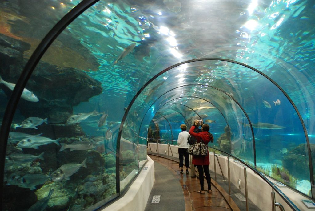 Vé máy bay Vinh Hà Nội